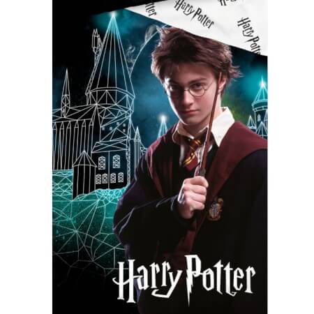 Gyerek ágyneműhuzat Harry Potter Varázslatos Roxfort