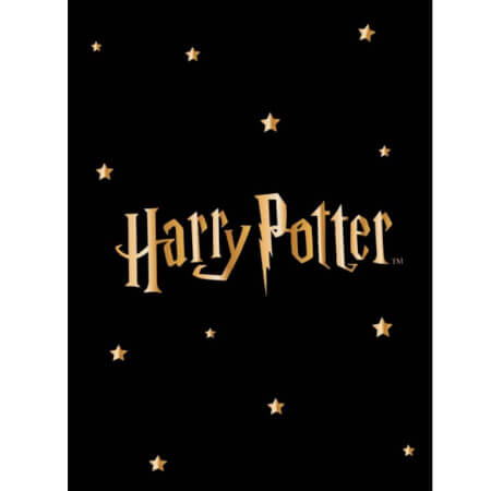 Dětská deka Harry Potter Gold Stars